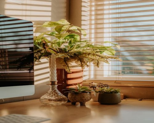 Sunlight streaming through window blinds onto a reading desk